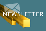 vignette newsletter